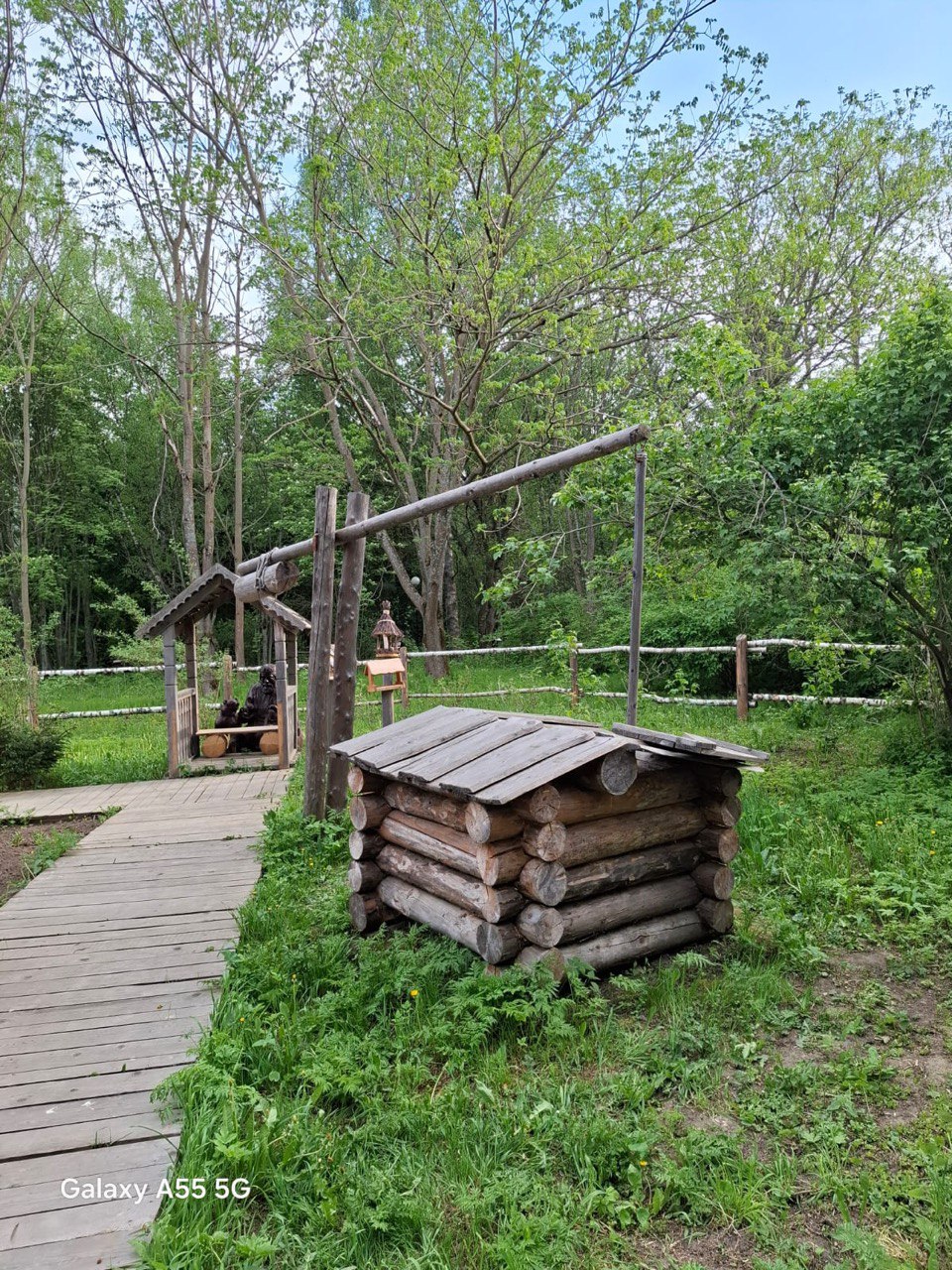 Обзорная экскурсия и дендросад